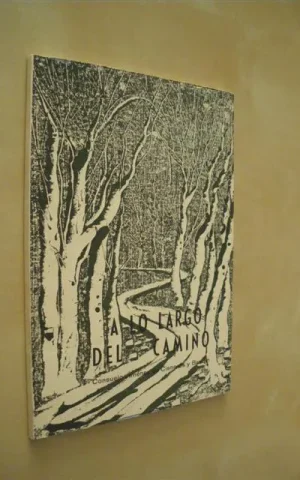 A LO LARGO DEL CAMINO