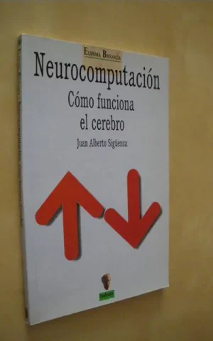 NEUROCOMPUTACIÓN. CÓMO FUNCIONA EL CEREBRO