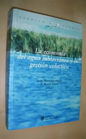 LA ECONOMIA DEL AGUA SUBTERRANEA Y SU GESTION COLECTIVA