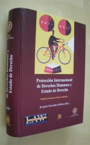 PROTECCIÓN INTERNACIONAL DE DERECHOS HUMANOS Y ESTADO DE DERECHO