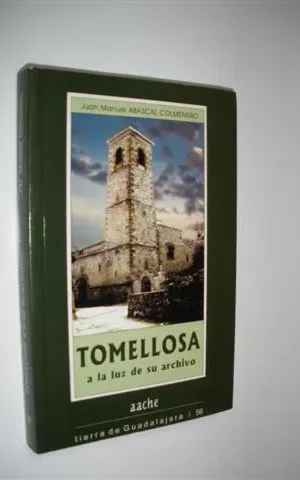 TOMELLOSA A LA LUZ DE SU ARCHIVO