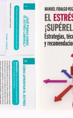 EL ESTRES LABORAL: SUPERELO. ESTRATEGIAS, TECNICAS Y RECOMENDACIONES
