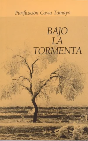 BAJO LA TORMENTA