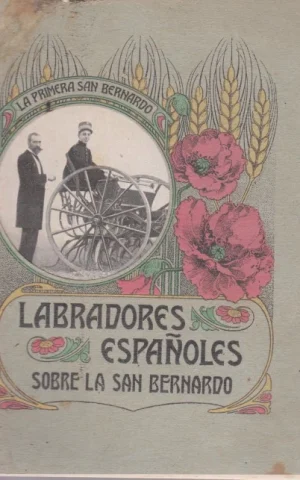 LABRADORES ESPAÑOLES SOBRE LA SAN BERNARDO