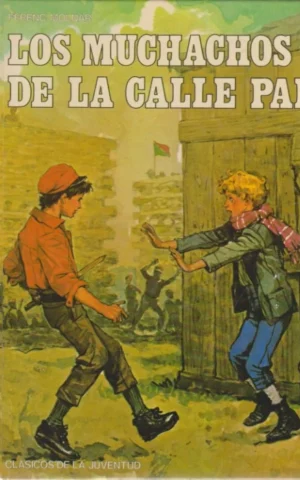 LOS MUCHACHOS DE LA CALLE PAL