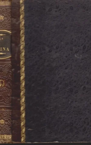 LA CHINA PINTORESCA. HISTORIA, DESCRIPCIÓN, COSTUMBRES