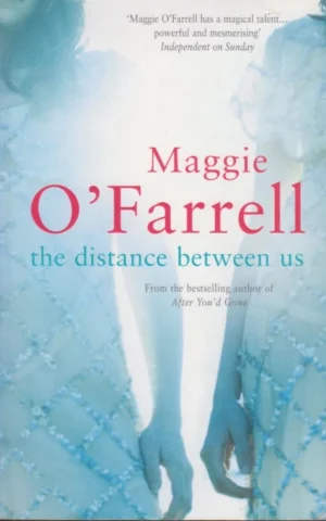 THE DISTANCE BETWEEN US