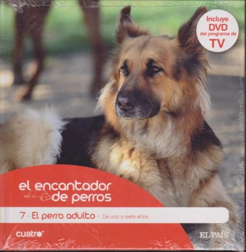 EL ENCANTADOR DE PERROS. 7. EL PERRO ADULTO. DE UNO A SIETE AÑOS