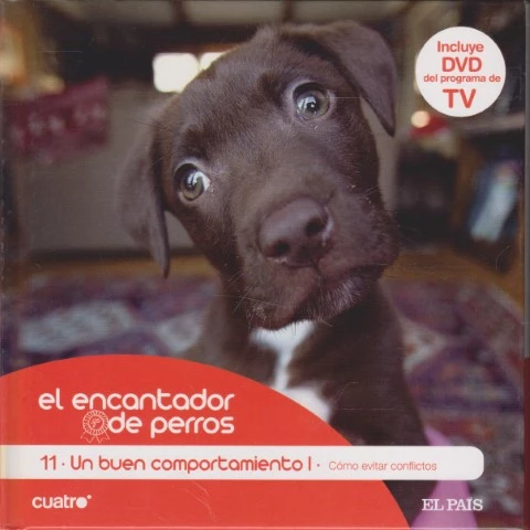 EL ENCANTADOR DE PERROS. 11. UN BUEN COMPORTAMIENTO I. CÓMO EVITAR CONFLICTOS