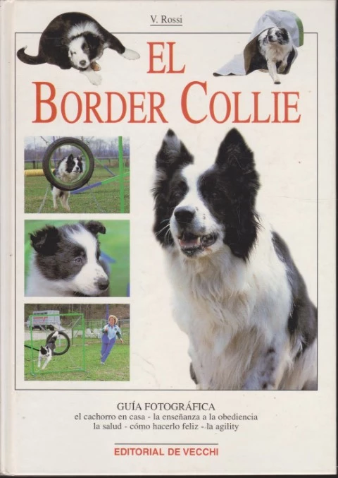 EL BORDER COLLIE